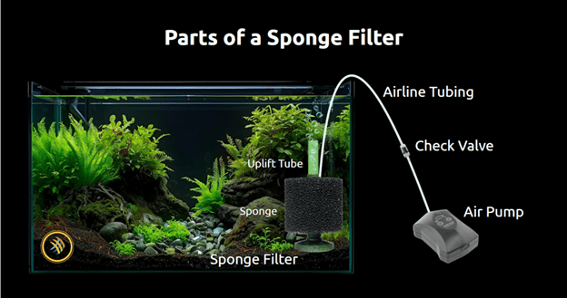 The Complete Guide to Aquarium Filtration Types