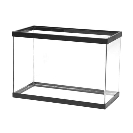 Rimmed Aquariums
