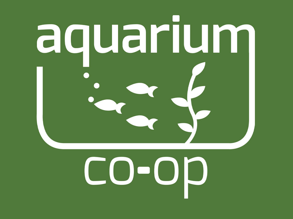 April's Aquarium Your Local Fish Store - Aquarium co-op