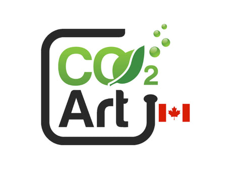 Co2 Art