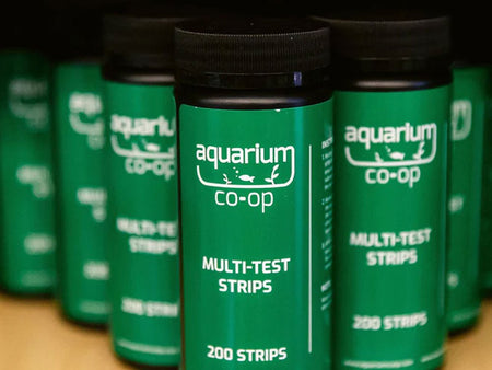 Picture of Aquariums & Supplies – Your Local Fish Store