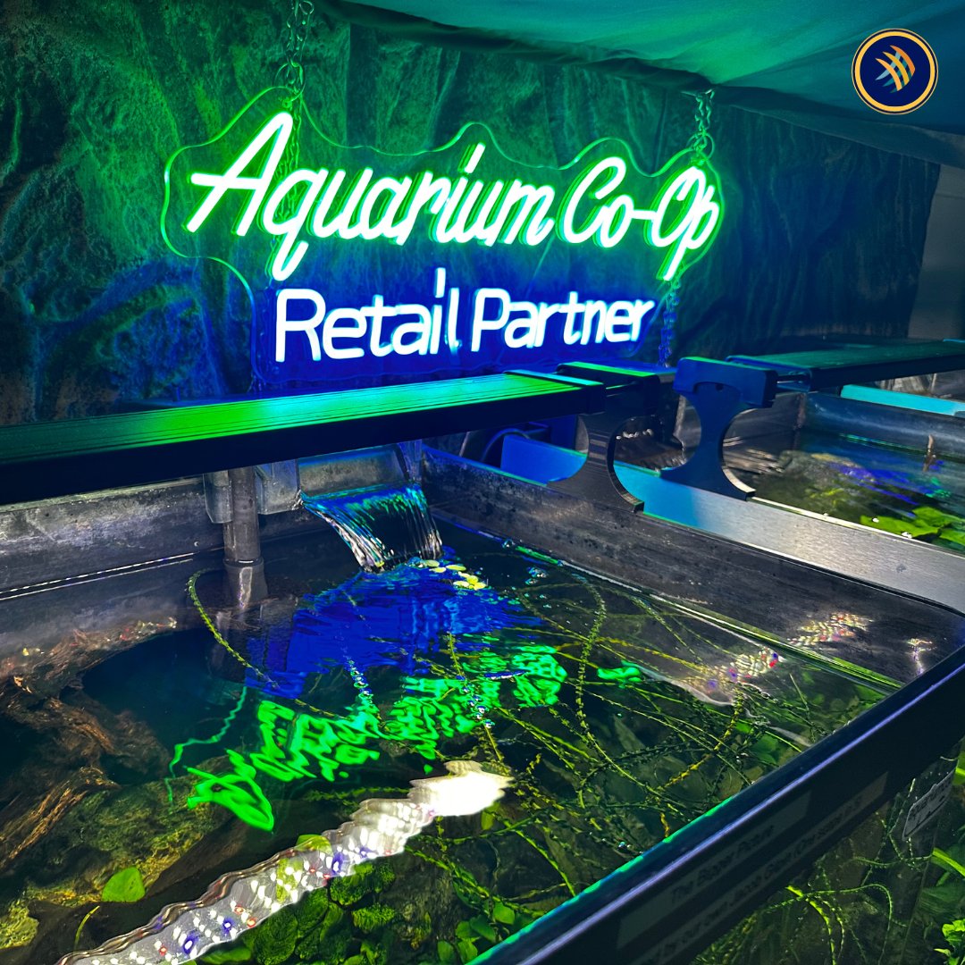 April's Aquarium Your Local Fish Store - Aquarium Supplies