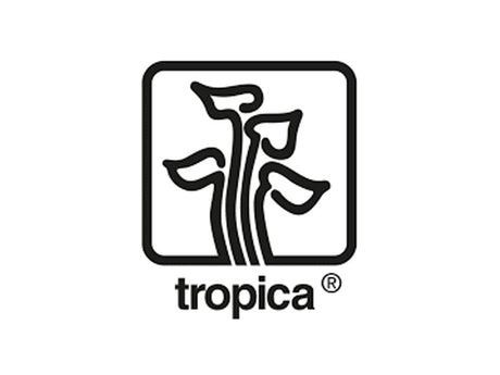 April's Aquarium Your Local Fish Store - Tropica