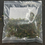 Vesicularia dubyana (Java moss) Portion - WP223