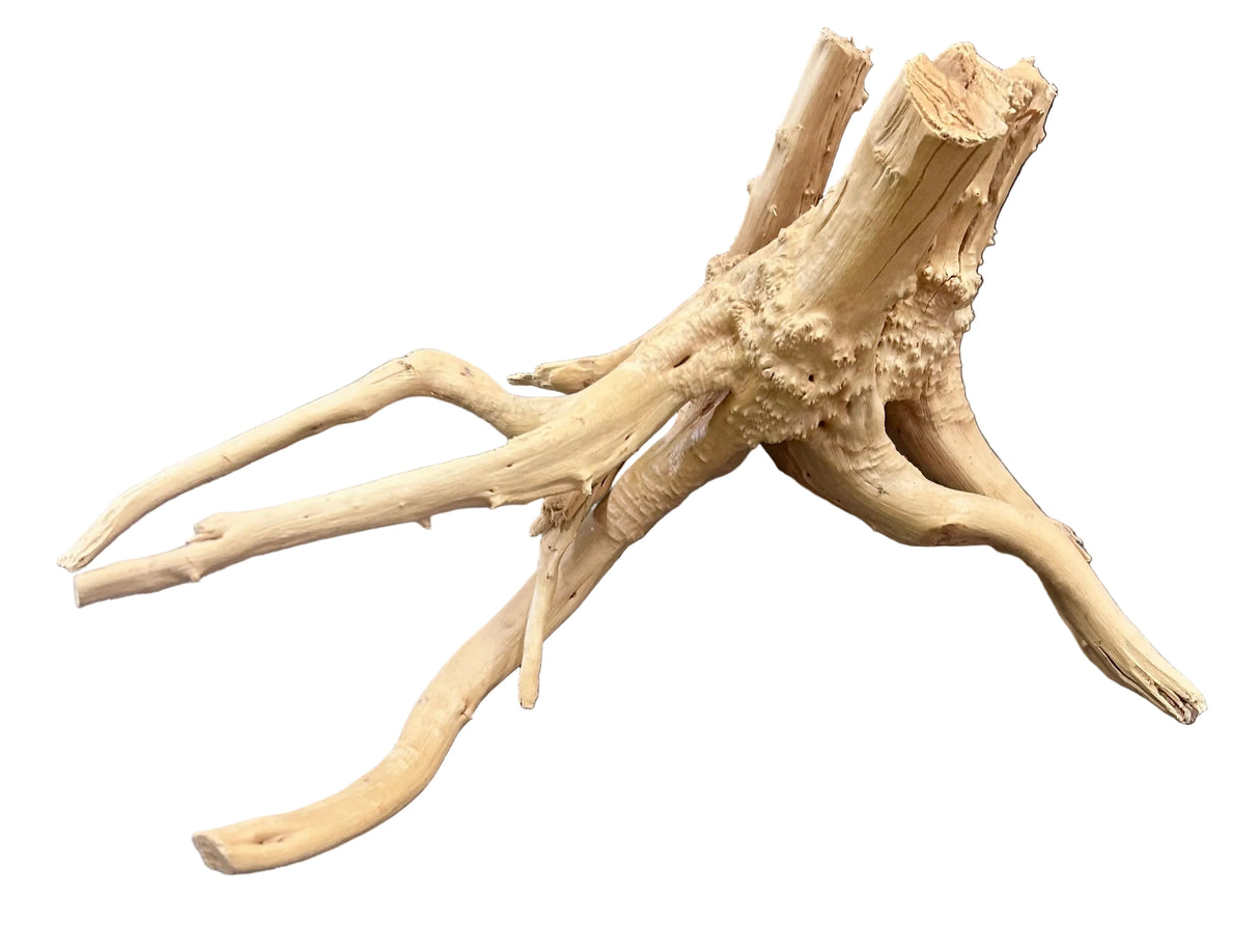Piece of Spiderwood