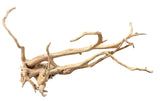  Large Piece of Spiderwood