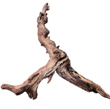  Malaysian Mangrove Wood