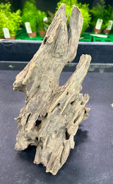 W.Y.S.I.W.Y.G.- 204 - Texture / Shrimp Driftwood