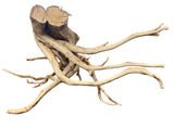 Large Piece of Spiderwood
