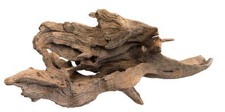 Malaysian Mangrove Sinking Driftwood