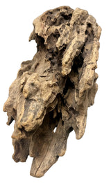 Texture / Shrimp Driftwood