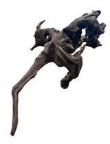 Malaysian Mangrove Sinking Driftwood