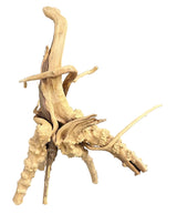  Piece of Spiderwood