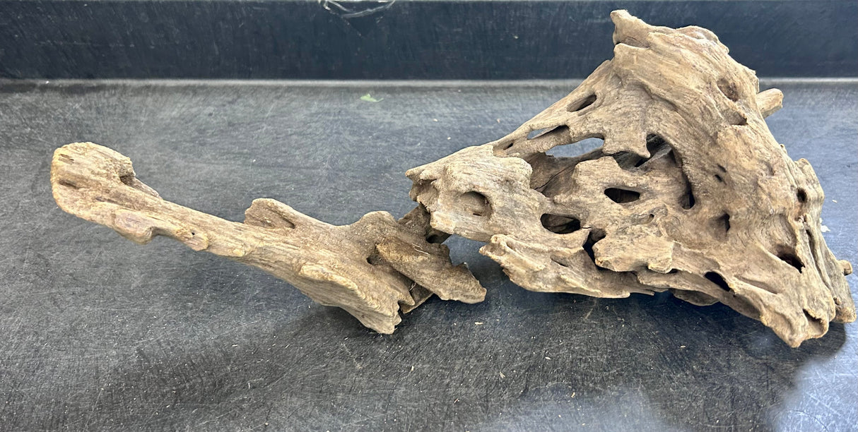 W.Y.S.I.W.Y.G.- 211 - Texture / Shrimp Driftwood