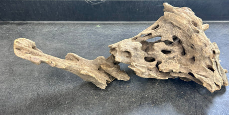 W.Y.S.I.W.Y.G.- 211 - Texture / Shrimp Driftwood