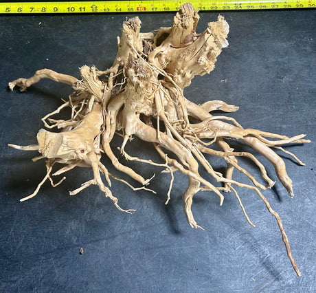 W.Y.S.I.W.Y.G.- 1005 - Large Piece of Spiderwood