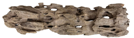 Texture / Shrimp Driftwood