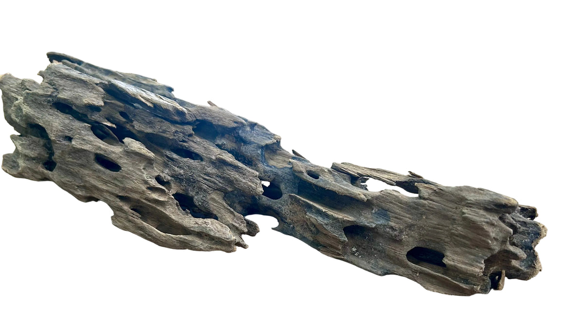 Texture / Shrimp Driftwood