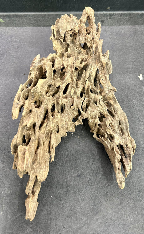 W.Y.S.I.W.Y.G.- 201 - Texture / Shrimp Driftwood