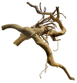 Large Piece of Spiderwood
