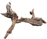 Malaysian Mangrove Sinking Driftwood