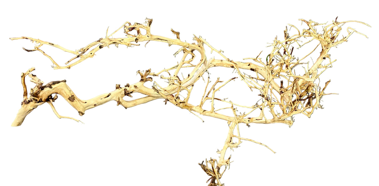 Thailand Branch Wood