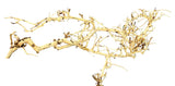 Thailand Branch Wood