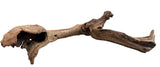 Malaysian Mangrove Sinking Driftwood