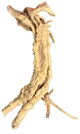  Piece of Spiderwood