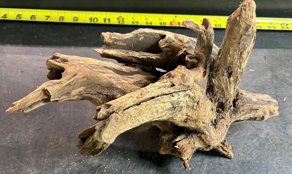 W.Y.S.I.W.Y.G.- 409 - Malaysian Mangrove Wood