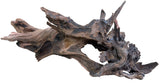 Malaysian Mangrove Sinking Driftwood