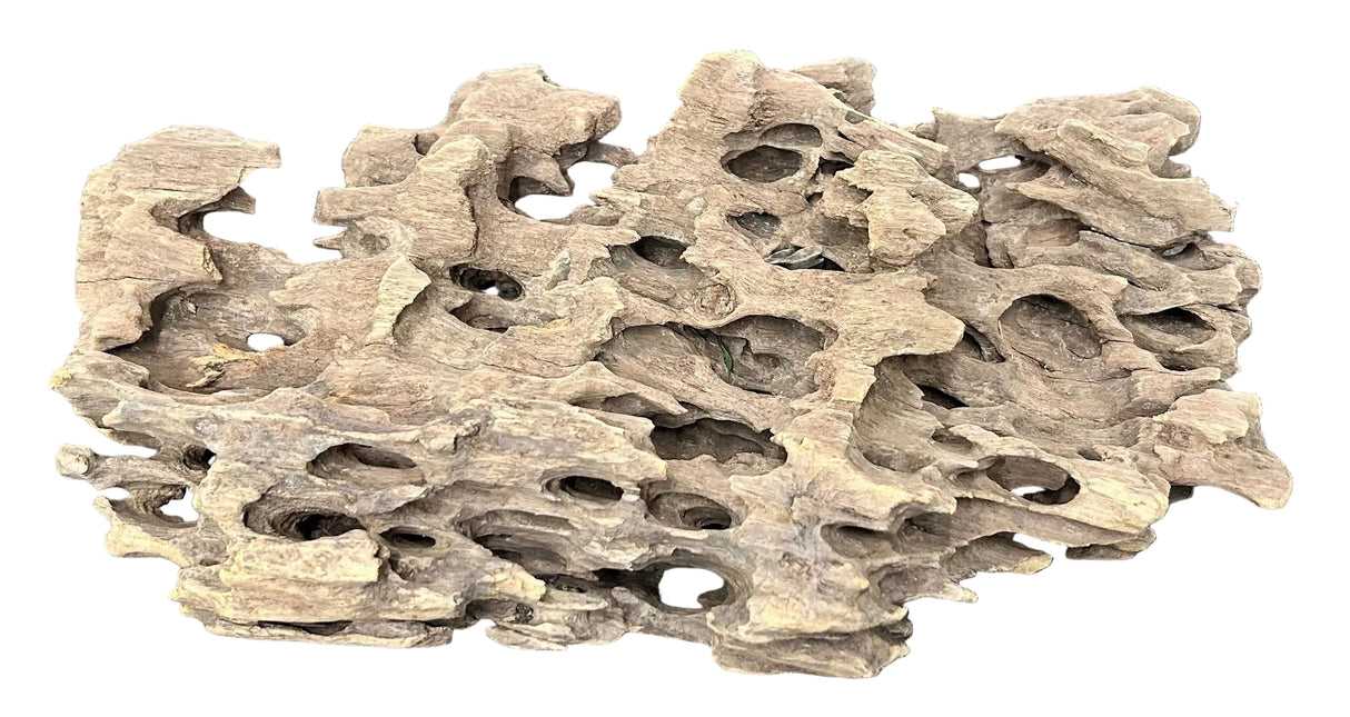 Texture / Shrimp Driftwood