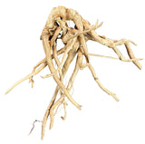  Large Piece of Spiderwood