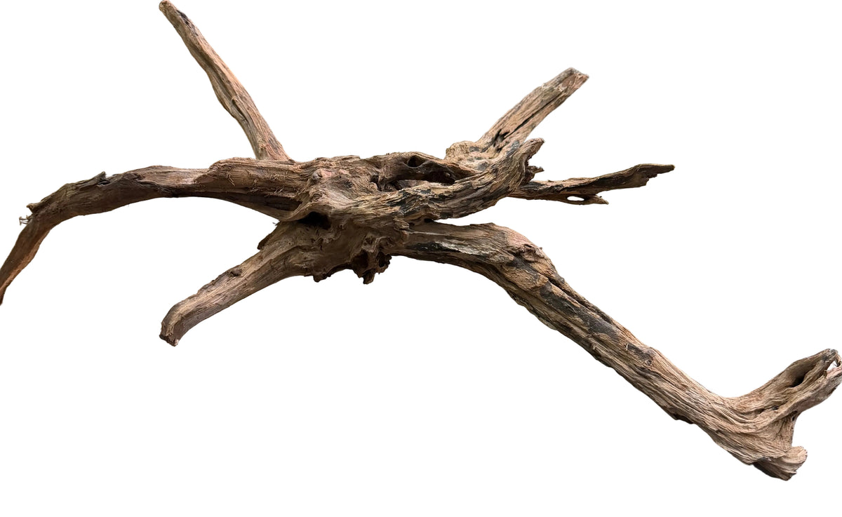 Malaysian Sinking Driftwood