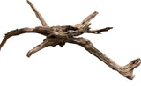 Malaysian Sinking Driftwood