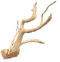 Large Piece of Spiderwood