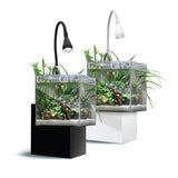 Fluval Kühl Microscaping Kit - 8L (2.1 US Gal)