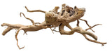 XX Large Spiderwood
