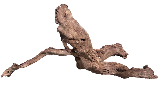 Malaysian Sinking Driftwood