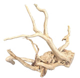 Large Piece of Spiderwood