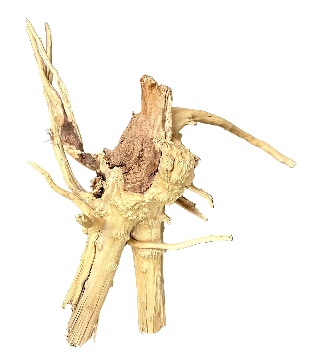 W.Y.S.I.W.Y.G.- 616 -  Piece of Spiderwood | Substrates & Hardscape | Largest Tropical Fish Selection at Your Local Fish Store