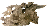  Texture / Shrimp Driftwood