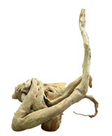 Large Piece of Spiderwood