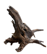 Malaysian Mangrove Wood