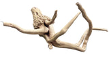 W.Y.S.I.W.Y.G.- 610 - Piece of Spiderwood | Substrates & Hardscape | Largest Tropical Fish Selection at Your Local Fish Store