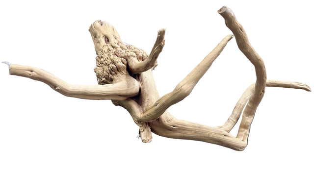 W.Y.S.I.W.Y.G.- 610 - Piece of Spiderwood | Substrates & Hardscape | Largest Tropical Fish Selection at Your Local Fish Store