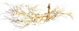 W.Y.S.I.W.Y.G.- 2007 - Thailand Branch Wood | Substrates & Hardscape | Largest Tropical Fish Selection at Your Local Fish Store