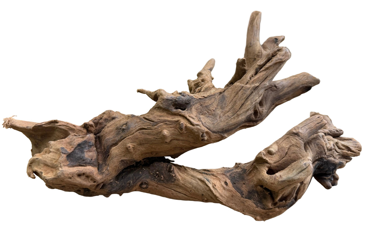 Malaysian Mangrove Wood