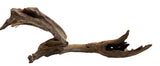 Malaysian Mangrove Sinking Driftwood