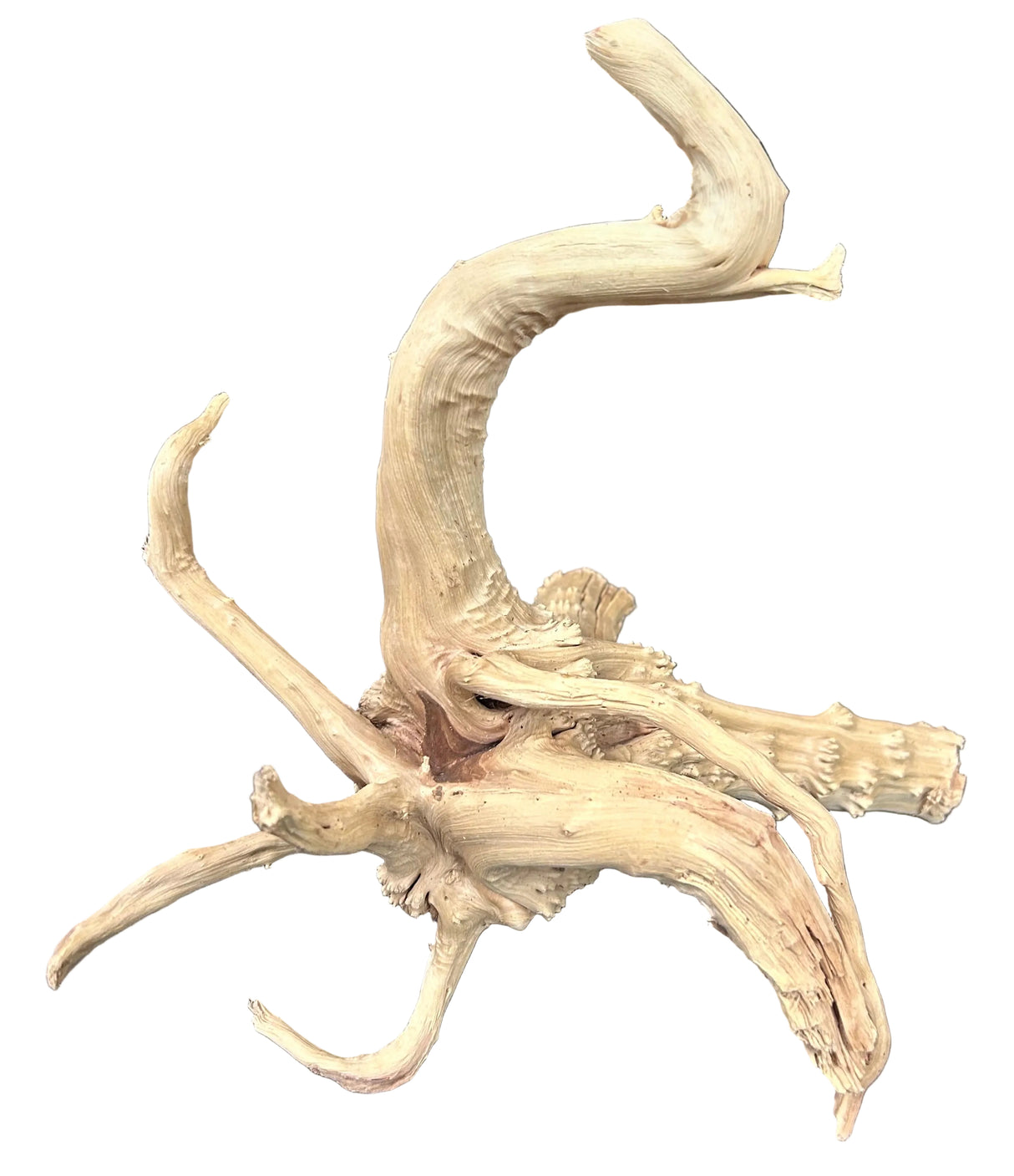 Piece of Spiderwood